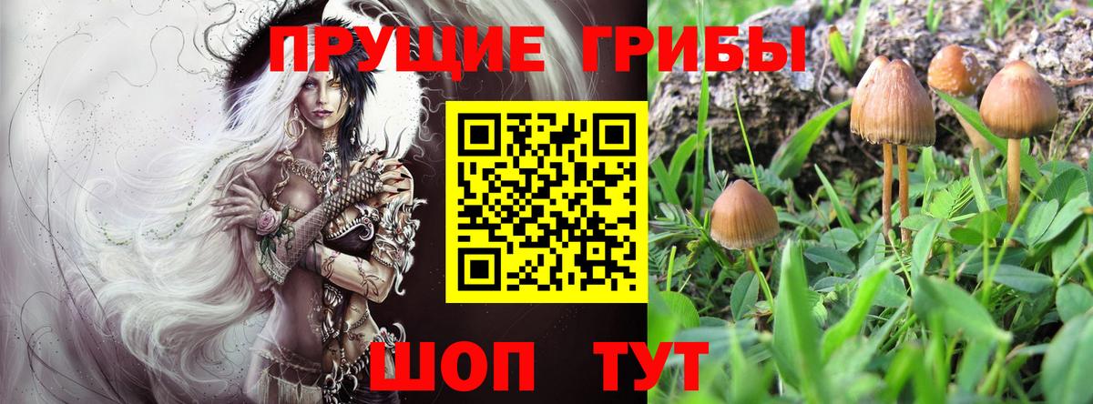 Орёл  Псилоцибиновые грибы Magic Shrooms  Вход с VPN 