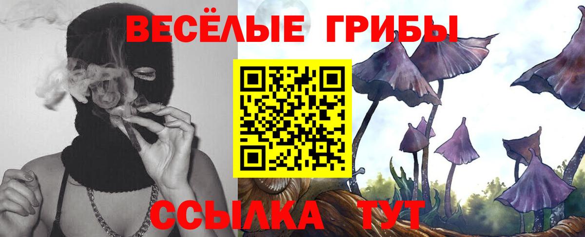 Псилоцибиновые грибы Psilocybe Орёл